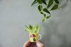 Arabia Moomin Minimokken 6-pack Derde Classic -Beker Winkel 504012 01 11 EnvironmentImage d791012fd8