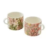 Spode Fruit & Honeysuckle Mok 34 Cl 2-delig -Beker Winkel 509458 01 1 ProductImageMain e484b8db6c